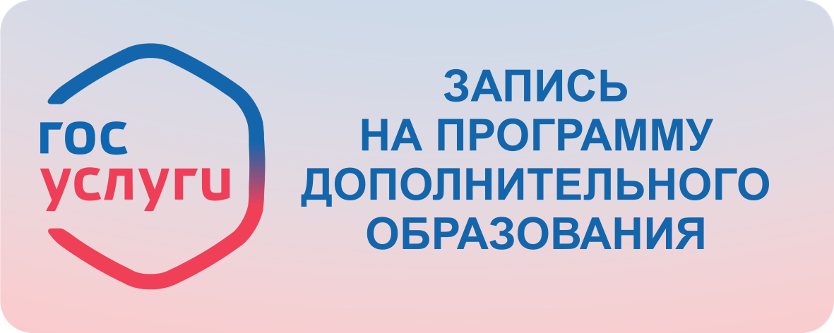  (    )