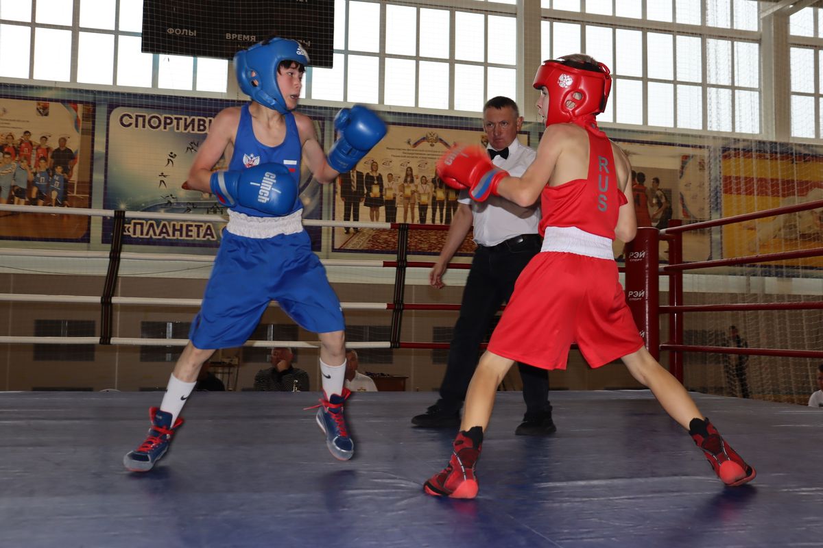 Успехи сасовских боксёров на областном турнире