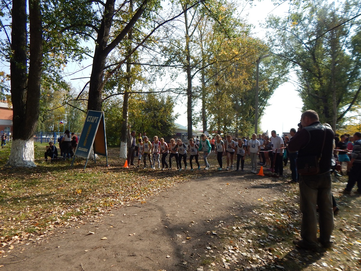 Легкоатлетический кросс 2015
